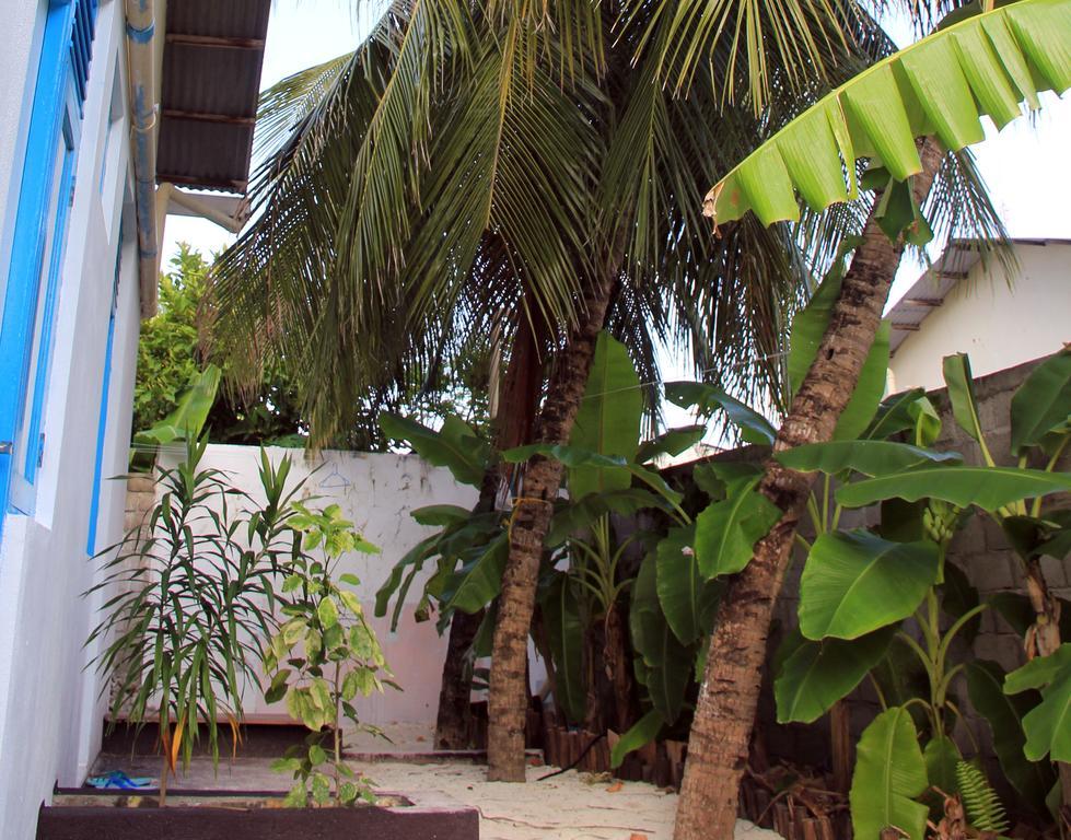 Rip Tide Vacation Inn, K.Guraidhoo Guraidhoo  Luaran gambar