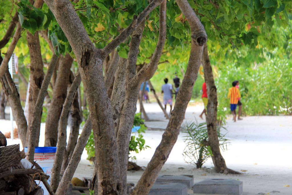 Rip Tide Vacation Inn, K.Guraidhoo Guraidhoo  Luaran gambar