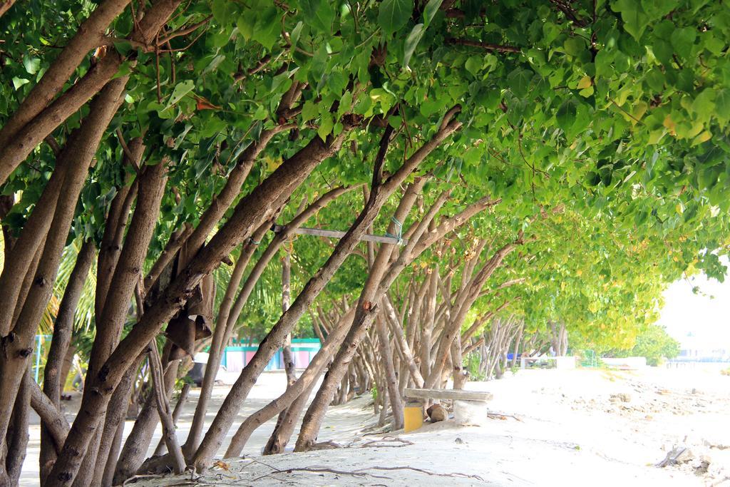 Rip Tide Vacation Inn, K.Guraidhoo Guraidhoo  Luaran gambar