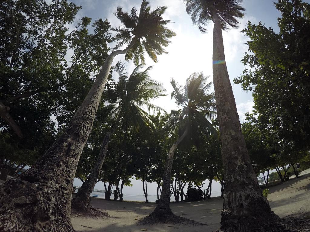 Rip Tide Vacation Inn, K.Guraidhoo Guraidhoo  Luaran gambar