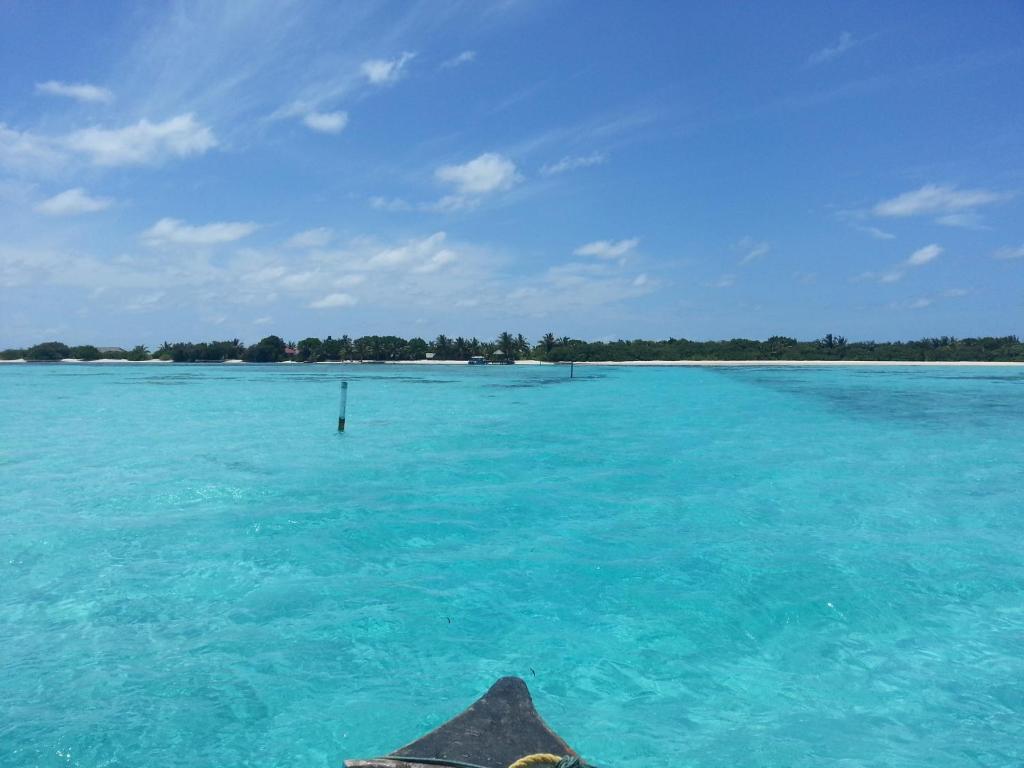 Rip Tide Vacation Inn, K.Guraidhoo Guraidhoo  Luaran gambar