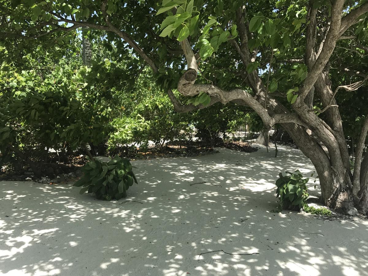 Rip Tide Vacation Inn, K.Guraidhoo Guraidhoo  Luaran gambar