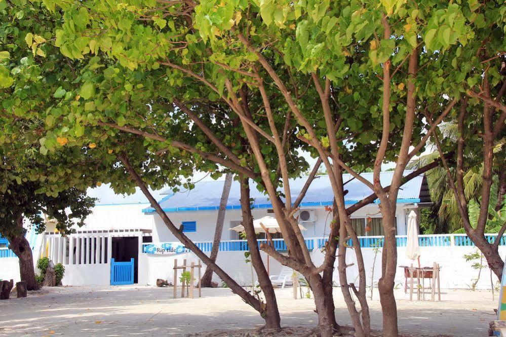 Rip Tide Vacation Inn, K.Guraidhoo Guraidhoo  Luaran gambar